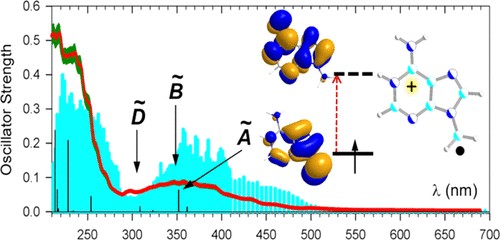 The Elusive Noncanonical Isomers of Ionized 9-Methyladenine and 2′-Deoxyadenosine